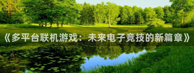 多彩娱乐平台官方网站：《多平台联机游戏：未来电子竞技的新篇章
