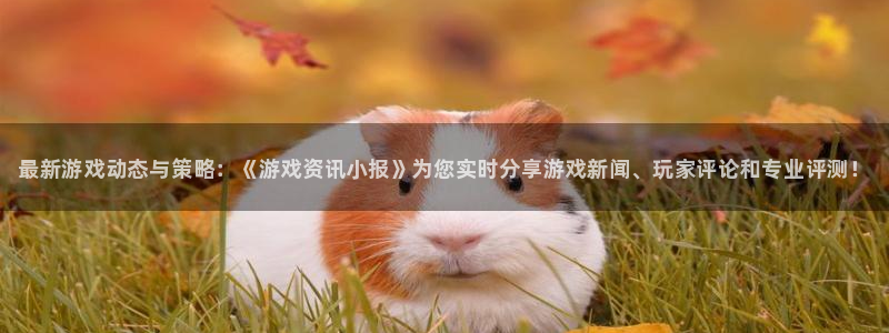 多彩娱乐平台注册开户：最新游戏动态与策略：《游戏资讯小报》为