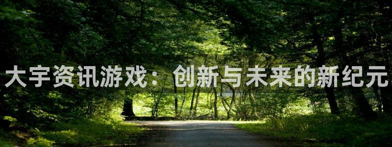 多彩娱乐Ii：大宇资讯游戏：创新与未来的新纪元