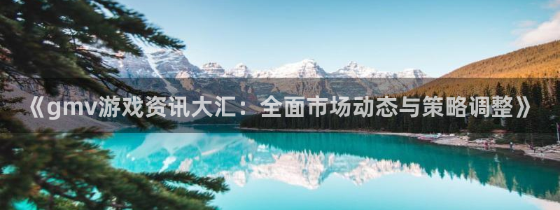多彩娱乐2登录：《gmv游戏资讯大汇：全面市场动态与策略调整