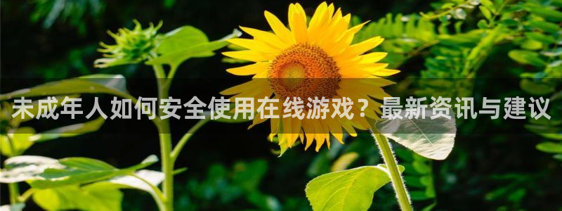 手机多彩娱乐下载安装：未成年人如何安全使用在线游戏？最新资讯