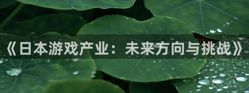多彩娱乐平台登录入口：《日本游戏产业：未来方向与挑战》