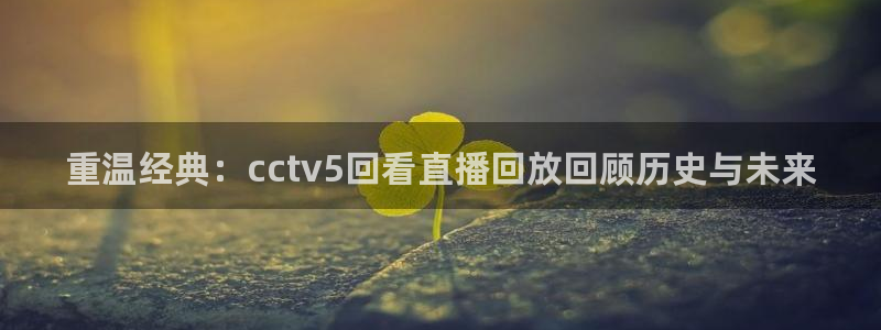 五星体育直播节目：重温经典：cctv5回看直播回放回顾历史与未来