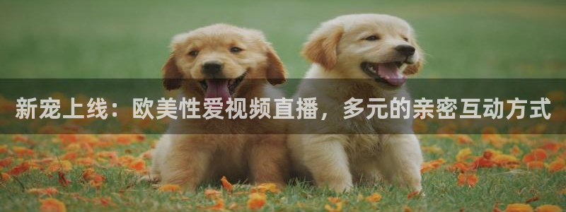 看五星体育