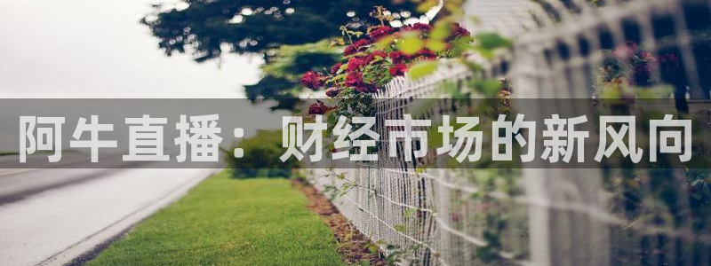 上海五星体育直播网