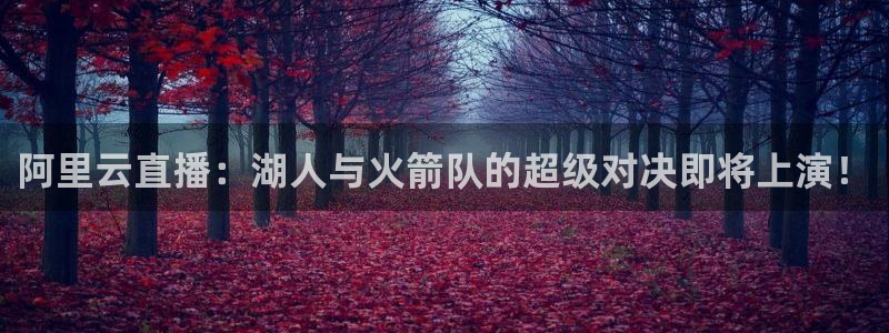 五星体育网球直播在线观看：阿里云直播：湖人与火箭队的超级对决即将上演！